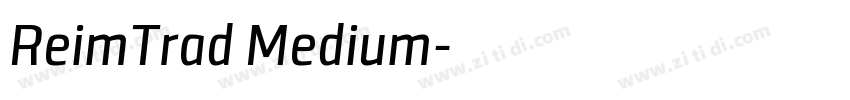ReimTrad Medium字体转换